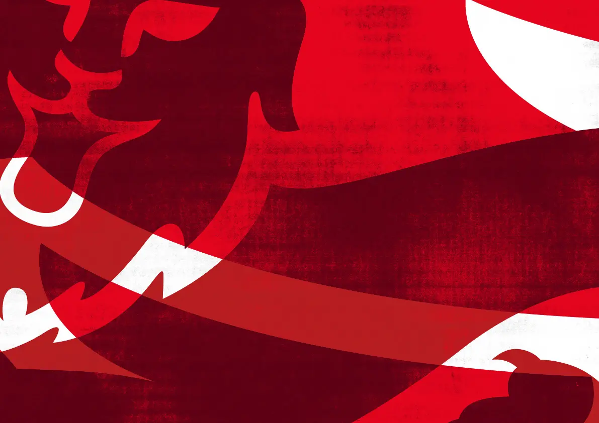 England Womens FA Lion background