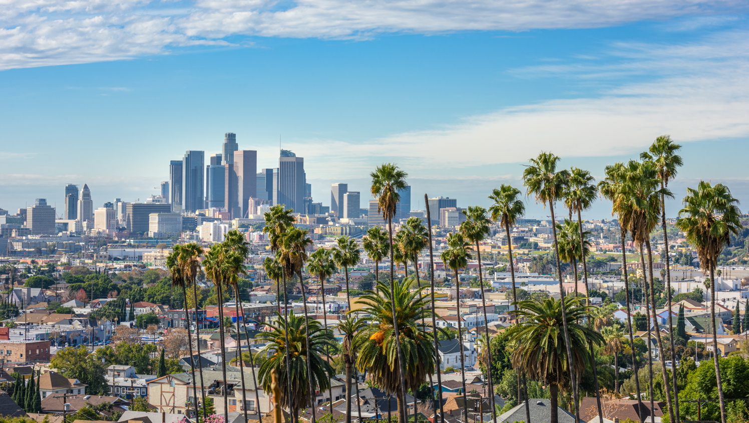 LA skyline